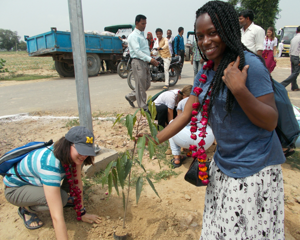 Plating trees at the Rotary school