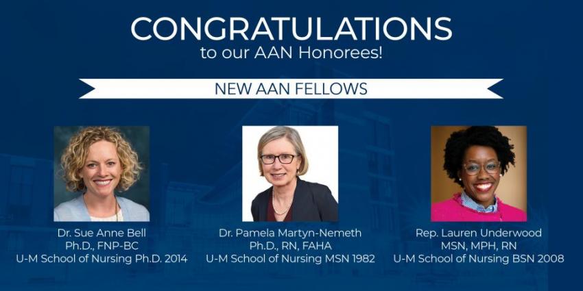 AAN fellows overview graphic